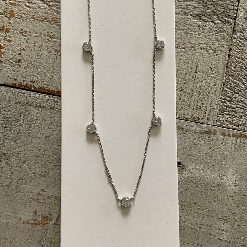 NWT Layering Necklace